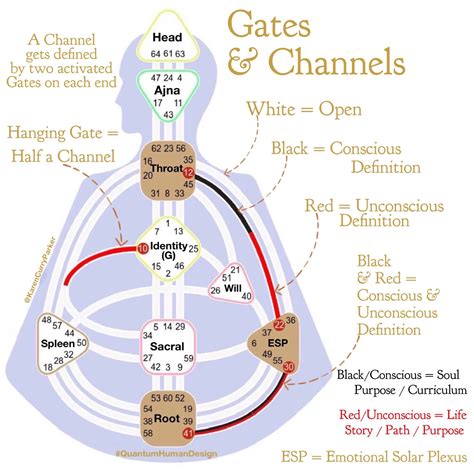 chanel 47 40 human design|human design channels chart.